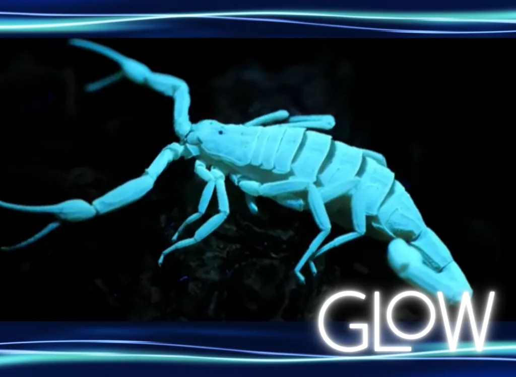 Bioluminescent scorpion with GLOW text overlay.