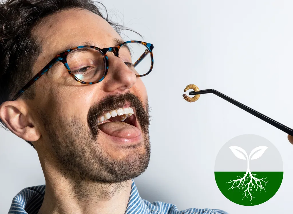 Person holding a mealworm to their open mouth.