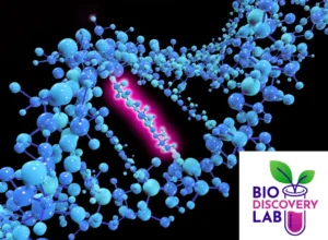 Digital rendering of a DNA double helix.